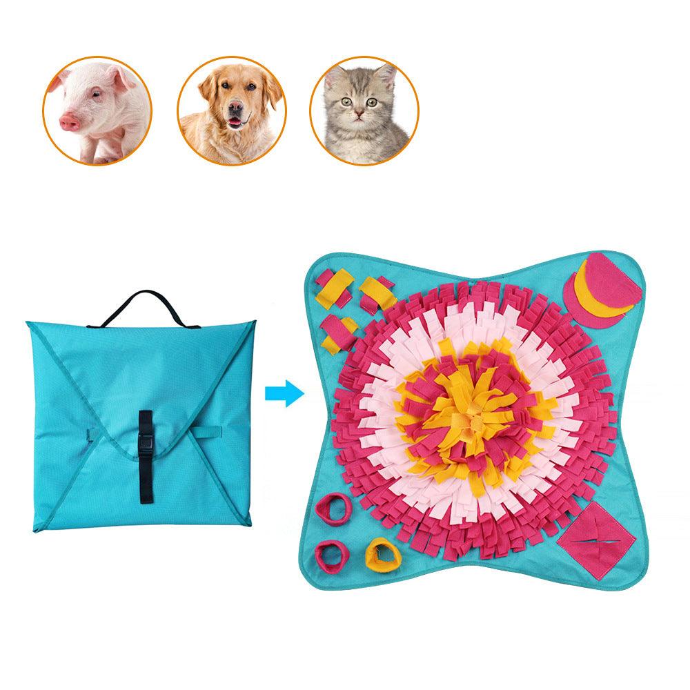 Interactive Pet Learning Toy