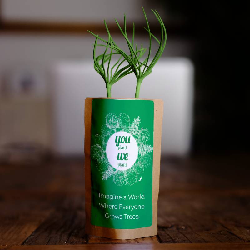 Pack of 500 Tree Kit Pouches, We Plant 5000 More Trees