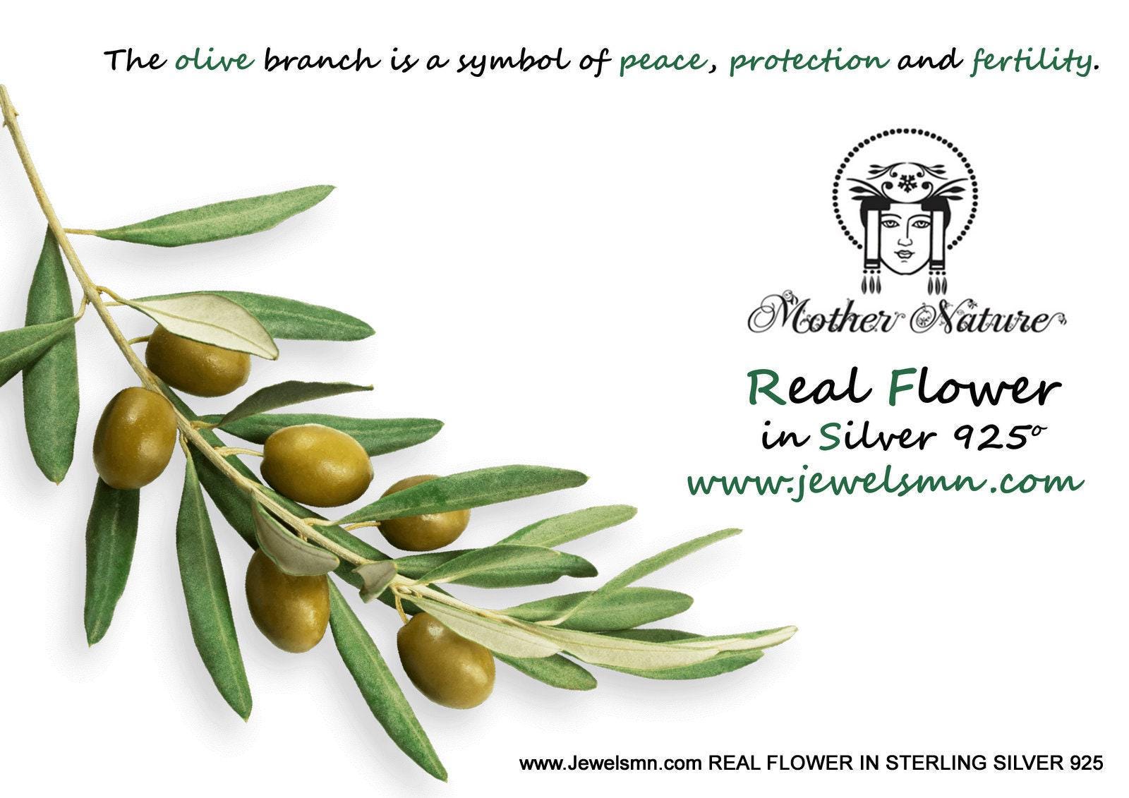 Olive Leaf Stud Earrings: Dainty Gold and Sterling Silver - Handmade